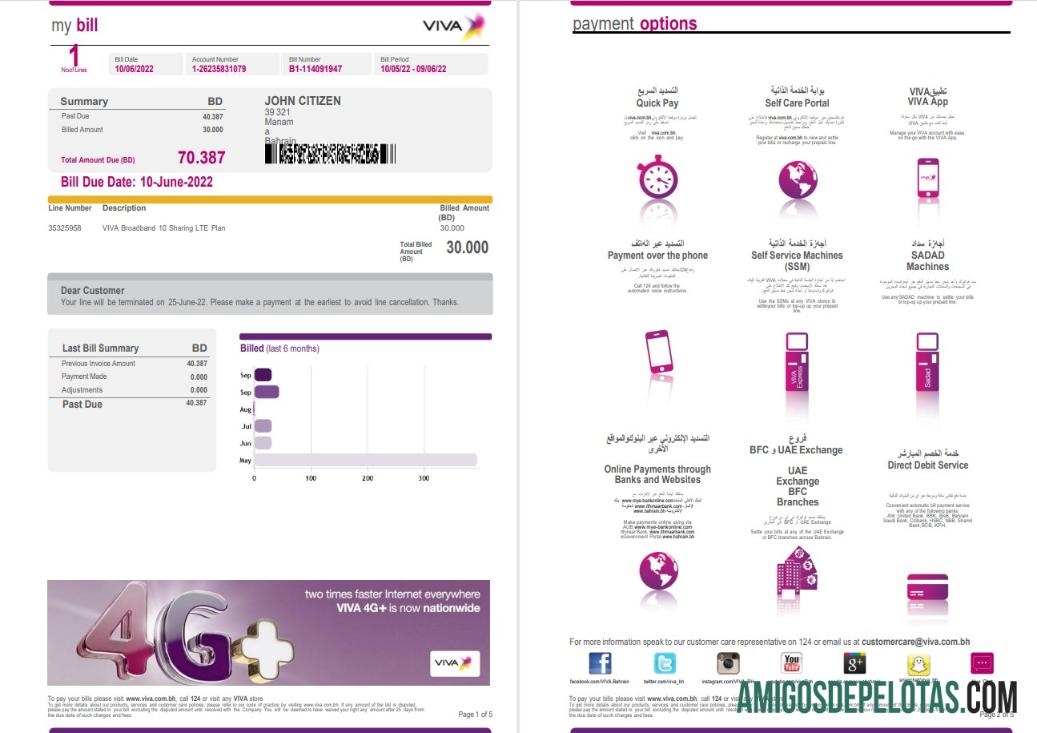 Em branco Bahrain Viva Minha fatura de serviços públicos modelo Word e PDF, 5 páginas 1 2
